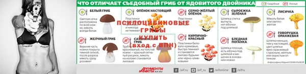 дживик Алексеевка