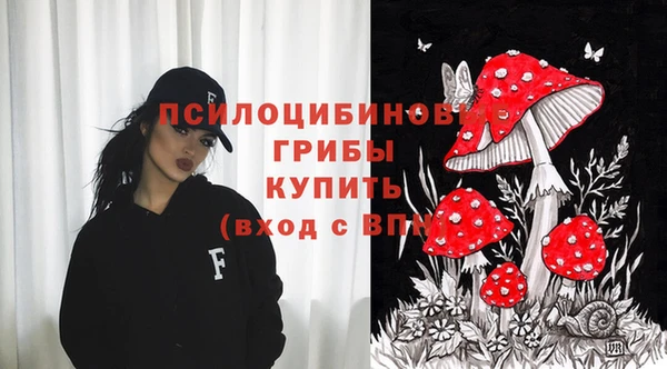 дурь Абдулино