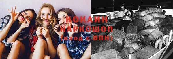 хмурый Алексин