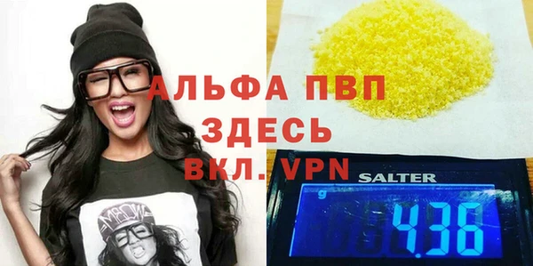 хмурый Алексин
