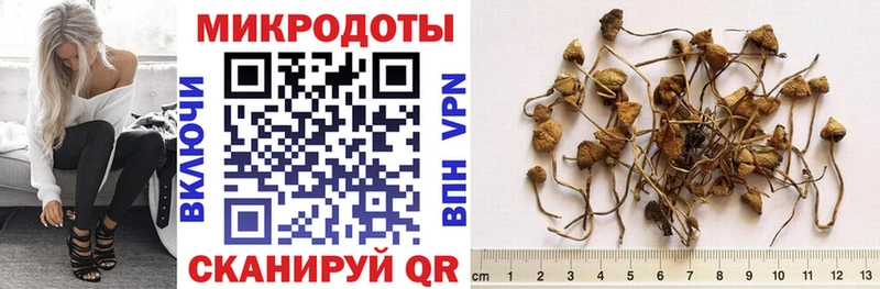 наркота  Новосибирск  Галлюциногенные грибы мухоморы 